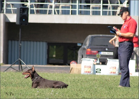 Sasha - Estonia championship 2007  in IPO 3